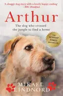 Arthur - pes, ktorý prešiel džungľou, aby našiel domov *Bude natočený veľkofilm „ARTHUR THE KING“ s MARKOM WAHLBERGOM v hlavnej úlohe* - Arthur - The dog who crossed the jungle to find a home *SOON TO BE A MAJOR MOVIE 'ARTHUR THE KING' STARRING MARK WAHLBERG*