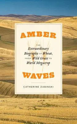 Jantárové vlny: Vlny: Mimoriadny životopis pšenice od divokej trávy po svetovú megakultúru - Amber Waves: The Extraordinary Biography of Wheat, from Wild Grass to World Megacrop