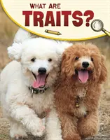 Čo sú to črty? - What Are Traits?