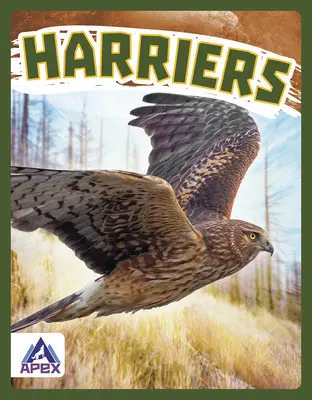 Bažanty - Harriers