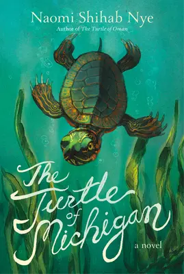 Želva z Michiganu - The Turtle of Michigan