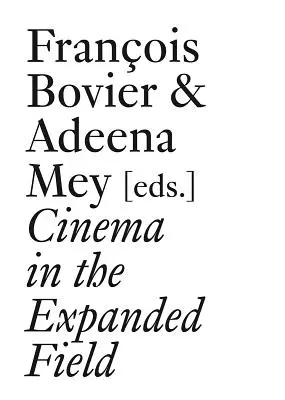 Kino v rozšírenej oblasti - Cinema in the Expanded Field