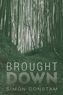Stiahnutý na dno - Brought Down