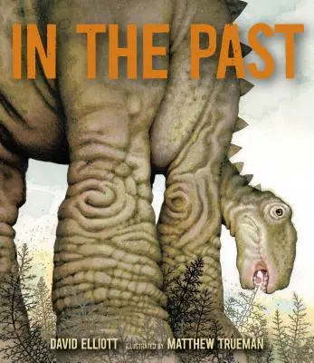 V minulosti: Od trilobitov cez dinosaury až po mamuty za viac ako 500 miliónov rokov - In the Past: From Trilobites to Dinosaurs to Mammoths in More Than 500 Million Years