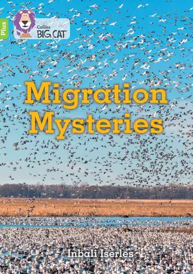 Migračné záhady - Skupina 11+/Vápno Plus - Migration Mysteries - Band 11+/Lime Plus