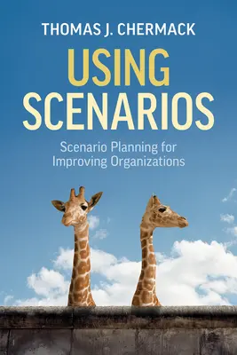 Používanie scenárov: Sada: Plánovanie scenárov pre zlepšovanie organizácií - Using Scenarios: Scenario Planning for Improving Organizations