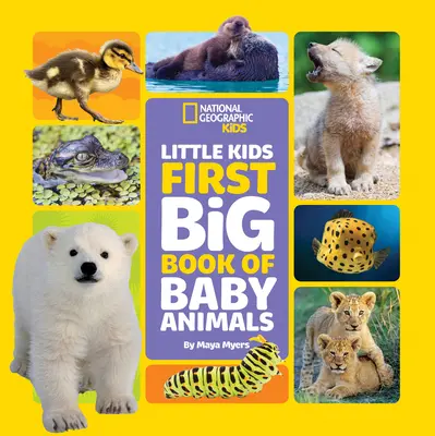 Little Kids First Big Book of Baby Animals (Prvá veľká kniha o mláďatách) - Little Kids First Big Book of Baby Animals