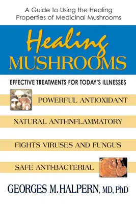 Liečivé huby - účinná liečba dnešných chorôb - Healing Mushrooms - Effective Treatments for Today's Illnesses