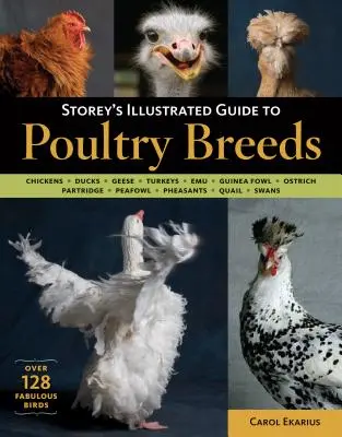 Storeyho ilustrovaný sprievodca plemenami hydiny: Sliepky, kačice, husi, morky, emu, perličky, pštrosy, jarabice, hrabavá hydina, bažanty, prepelice, S - Storey's Illustrated Guide to Poultry Breeds: Chickens, Ducks, Geese, Turkeys, Emus, Guinea Fowl, Ostriches, Partridges, Peafowl, Pheasants, Quails, S