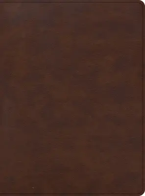 CSB Apologetics Study Bible for Students, Brown Leathertouch