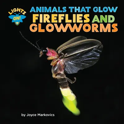 Svetlušky a svetlonosi - Fireflies and Glowworms