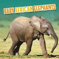 Mláďatá afrických slonov - Baby African Elephants
