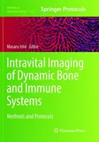 Intravitálne zobrazovanie dynamických kostných a imunitných systémov: Metódy a protokoly - Intravital Imaging of Dynamic Bone and Immune Systems: Methods and Protocols