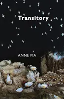 Prechodné - Transitory