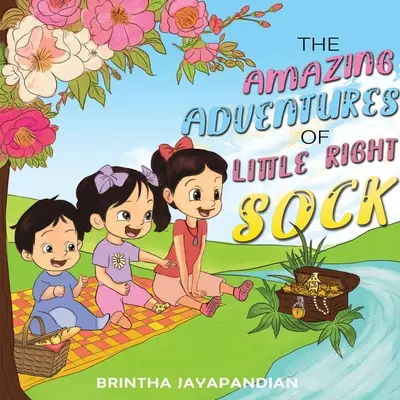 Úžasné dobrodružstvá malej správnej ponožky - The Amazing Adventures of Little Right Sock