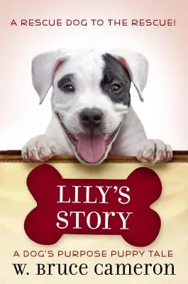 Lilyin príbeh: Príbeh šteňaťa - Lily's Story: A Puppy Tale