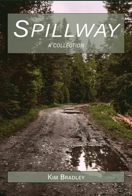 Prelievanie - Spillway