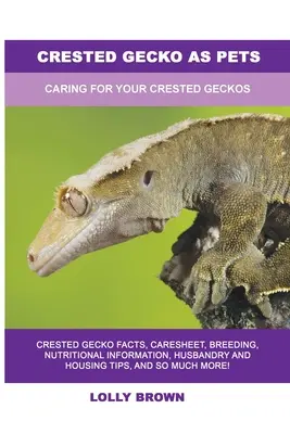 Gekón chocholatý ako domáce zvieratko: Starostlivosť o gekóny chocholaté - Crested Gecko as Pets: Caring For Your Crested Geckos