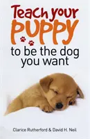 Naučte svoje šteňa byť psom, akého chcete - Teach Your Puppy to be the Dog You Want