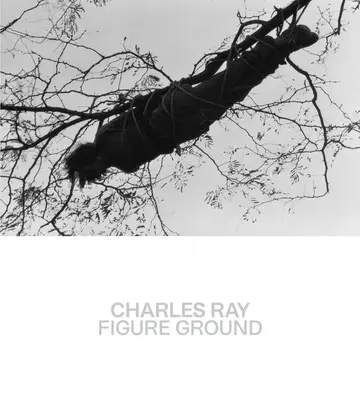 Charles Ray: Ray Ray: Obrázok Zeme - Charles Ray: Figure Ground