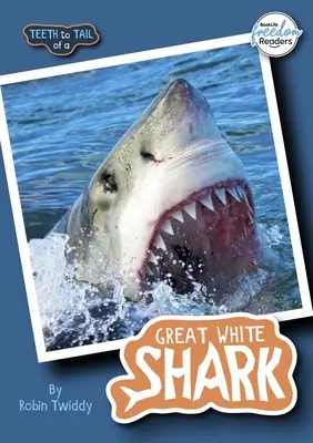 Zuby na chvoste veľkého bieleho žraloka - Teeth to Tail of a Great White Shark