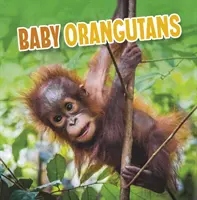 Mláďatá orangutanov - Baby Orangutans