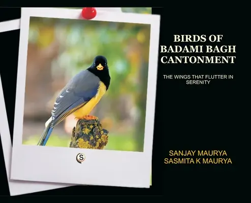 Vtáky kantónu Badami Bagh - Birds of Badami Bagh Cantonment