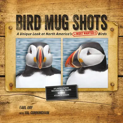 Zábery na hrnčeky s vtákmi: Jedinečný pohľad na najvyhľadávanejšie vtáky Severnej Ameriky - Bird Mug Shots: A Unique Look at North America's Most Wanted Birds