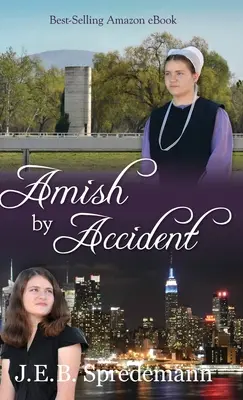 Amišovia náhodou - Amish by Accident
