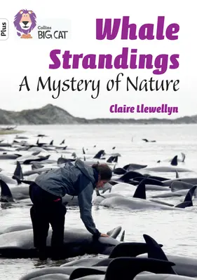 Uväznené veľryby: Záhada prírody - skupina 10+/biela plus - Whale Strandings: A Mystery of Nature - Band 10+/White Plus