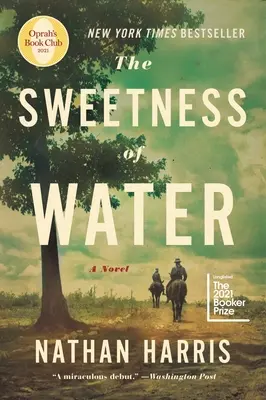 Sladkosť vody (Oprah's Book Club) - The Sweetness of Water (Oprah's Book Club)