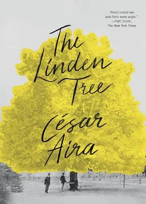 Lipa - The Linden Tree