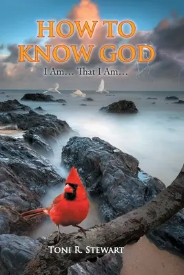 Ako spoznať Boha: Ja som... Že som... - How to Know God: I Am... That I Am...