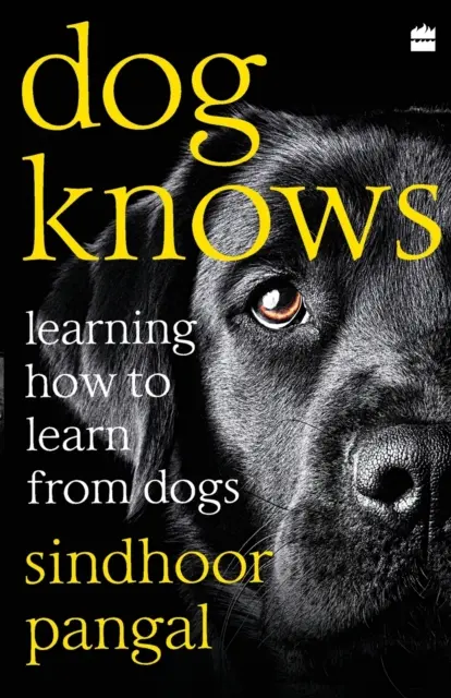 Pes vie: Ako sa učiť od psov - Dog Knows: Learning How to Learn from Dogs