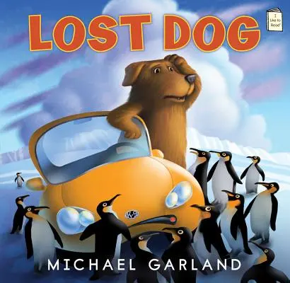 Stratený pes - Lost Dog