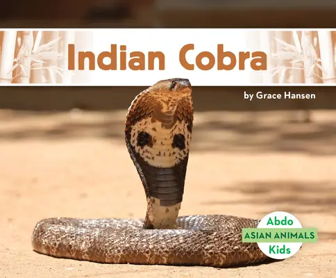 Kobra indická - Indian Cobra