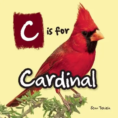 C is for Cardinal - C Is for Cardinal