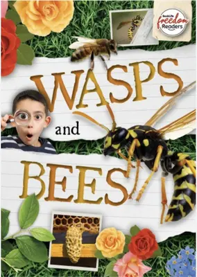 Osy a včely - Wasps and Bees