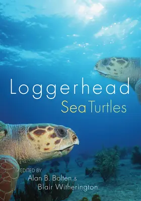 Morské korytnačky rodu Loggerhead - Loggerhead Sea Turtles