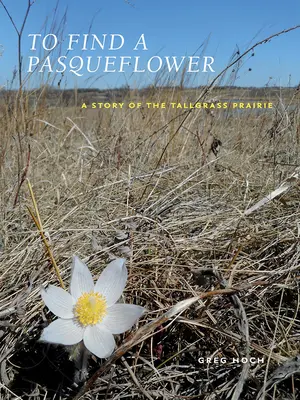 Nájsť paškvil: Príbeh prérie s vysokou trávou - To Find a Pasqueflower: A Story of the Tallgrass Prairie