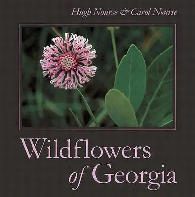 Divoké kvety Georgie - Wildflowers of Georgia