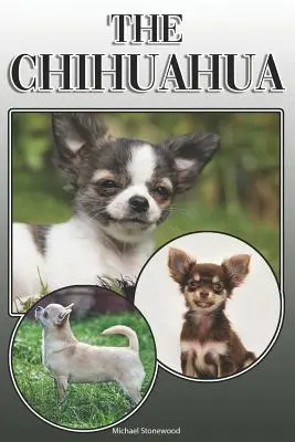 Čivava: Čivava: Kompletný a komplexný sprievodca pre majiteľov: Kúpa, vlastníctvo, zdravie, starostlivosť, výcvik, poslušnosť, porozumenie a - The Chihuahua: A Complete and Comprehensive Owners Guide To: Buying, Owning, Health, Grooming, Training, Obedience, Understanding and