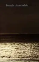 Preteky prílivu a odlivu - Tide Race