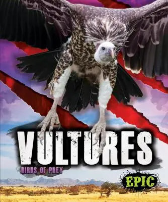 Supy - Vultures