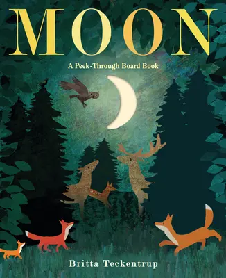 Mesiac: Mesiac: Prehliadková kniha pre deti a mládež - Moon: A Peek-Through Board Book
