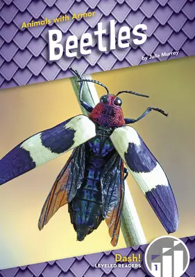 Chrobáky - Beetles