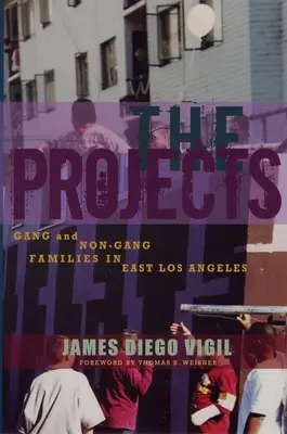 Projekty - Gangové a negangové rodiny vo východnom Los Angeles - Projects - Gang and Non-Gang Families in East Los Angeles