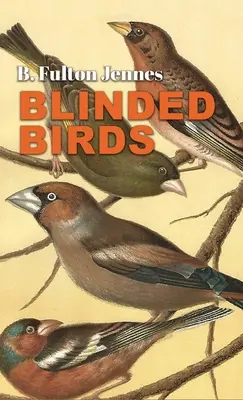 Zaslepené vtáky - Blinded Birds