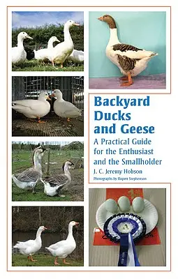 Kačice a husi na dvore: Praktická príručka pre nadšencov a drobných chovateľov - Backyard Ducks and Geese: A Practical Guide for the Enthusiast and the Smallholder