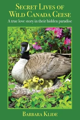Tajný život divých kanadských husí: Skutočný príbeh lásky v ich utajenom raji - Secret Lives of Wild Canada Geese: A true love story in their hidden paradise